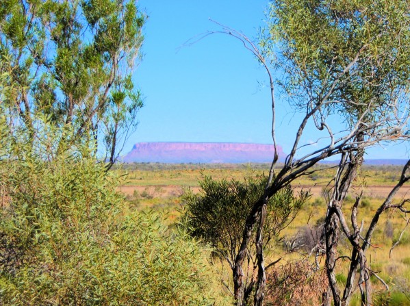 Outback6 Print