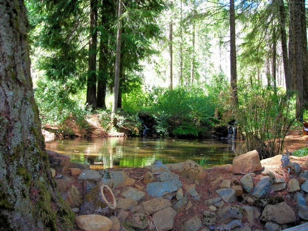 Pond4 Print