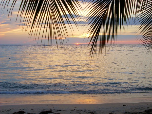 Sunset19 Print