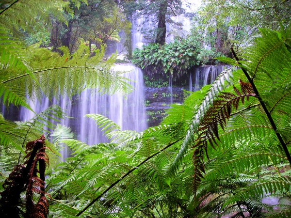 Waterfall3 Print