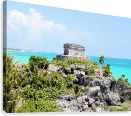 Tropical2 Canvas Print