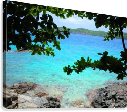 Tropical13 Canvas Print