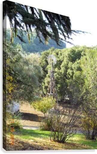 Windmill1 Canvas Print