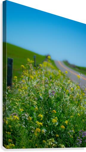 20190330 DSC_0592 Canvas Print