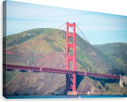 20190331 DSC_0647 Canvas Print