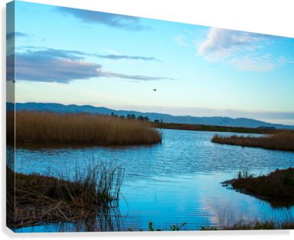 20190228 DSC 0066 2 Canvas Print