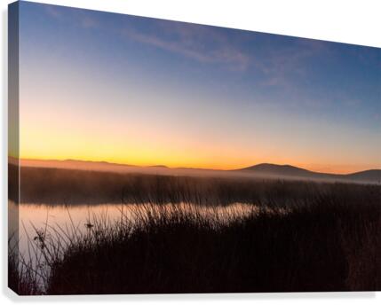 20200110 DSC 0144 Canvas Print