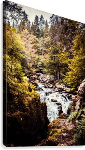 20190918 DSC 0267 4 Canvas Print