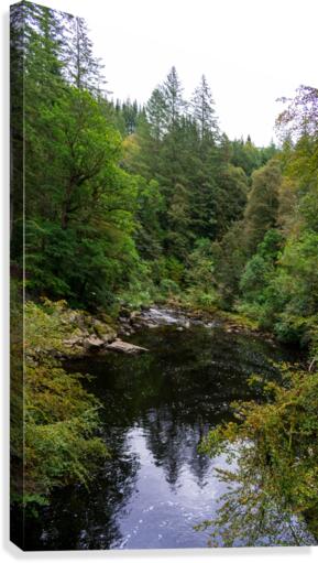 20190918 DSC 0293 Canvas Print