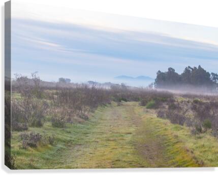 20200118 DSC 0111 Canvas Print