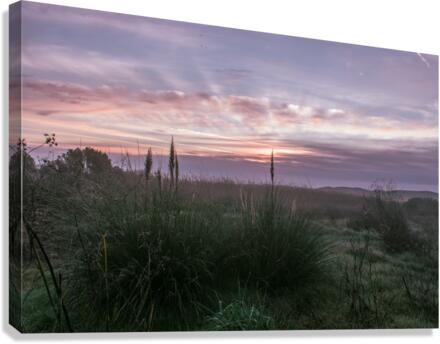 20200118 DSC 0114 Canvas Print