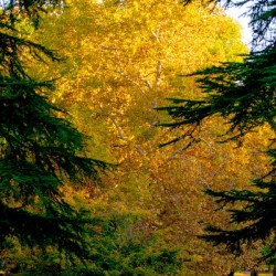 20181021 DSC 0029  2 