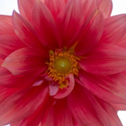 20181021 DSC 0038  2  2