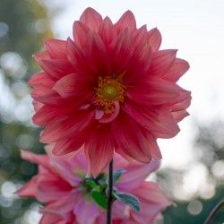 20181021 DSC 0039  2  2