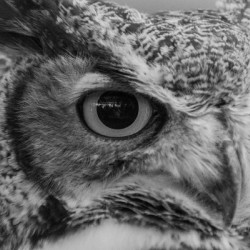 20181021 DSC 0228  2  1 2