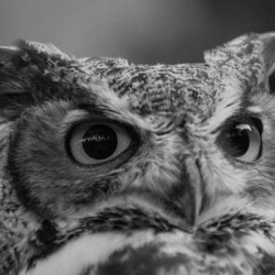 20181021 DSC 0242  2 