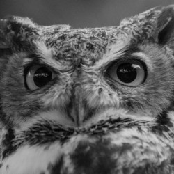 20181021 DSC 0247  2  1 2