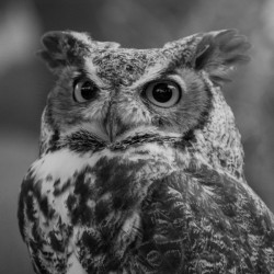 20181021 DSC 0253  2  1 2