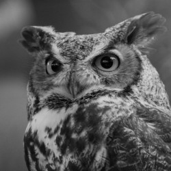 20181021 DSC 0267  2  1 2