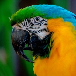 20181021 DSC 0292  2  1