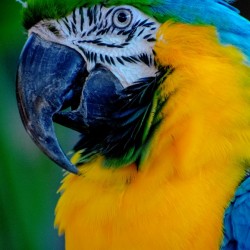 20181021 DSC 0297  2  1