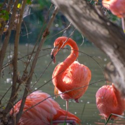 20181021 DSC 0492  2  1