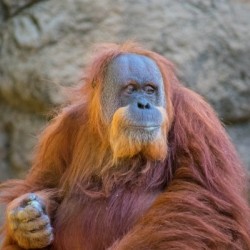 20181021 DSC 0508 1 2