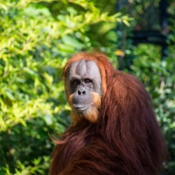 20181021 DSC 0552 1 2