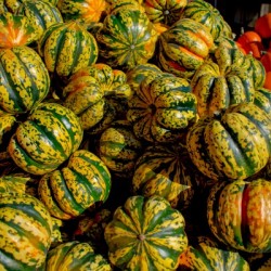 20181028 DSC 0015  5 