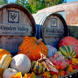 20181028 DSC 0048  4 