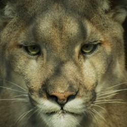 20181104 DSC 0032  3 