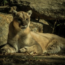 20181104 DSC 0070  3  3