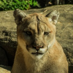 20181104 DSC 0073  3  9