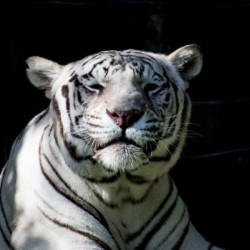 20181104 DSC 0151  3 