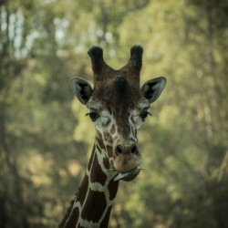 20181104 DSC 0164  3 