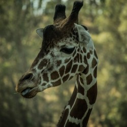 20181104 DSC 0168  3 