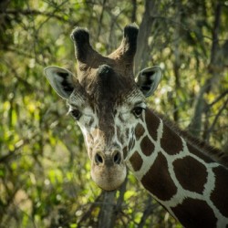 20181104 DSC 0191  3 