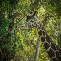 20181104 DSC 0202  3 