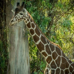 20181104 DSC 0203  3 