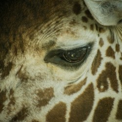 20181104 DSC 0225  3 