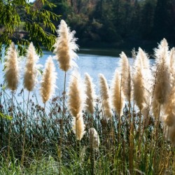 20181104 DSC 0282  3 