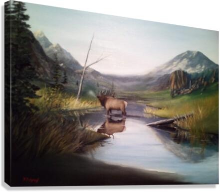 Morning Reflection  Canvas Print