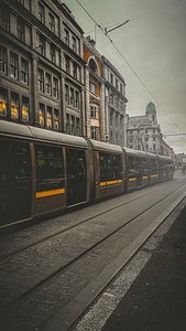 Dublin Movement