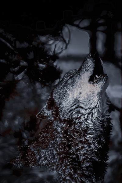 Howl Print