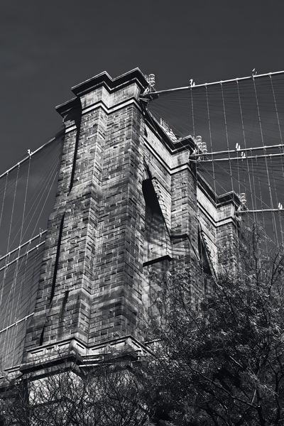Brooklyn Tower Print