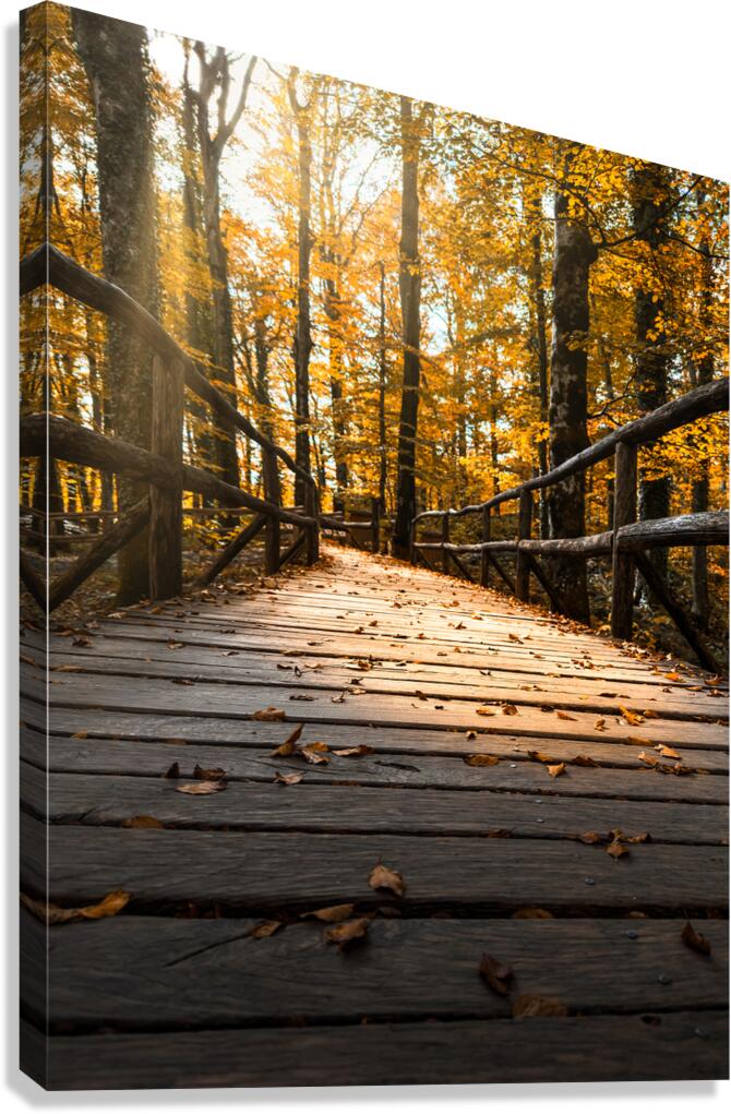 The Path Canvas Print