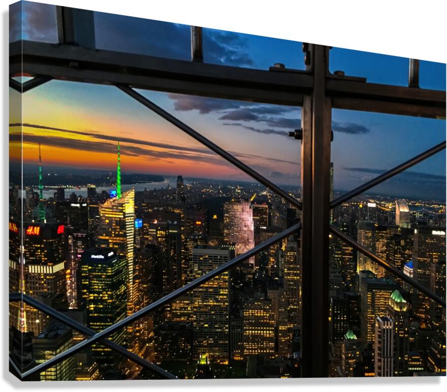 Caged View Canvas Print