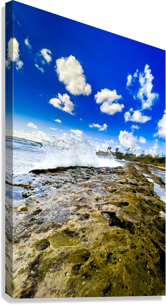 Crashing Canvas Print