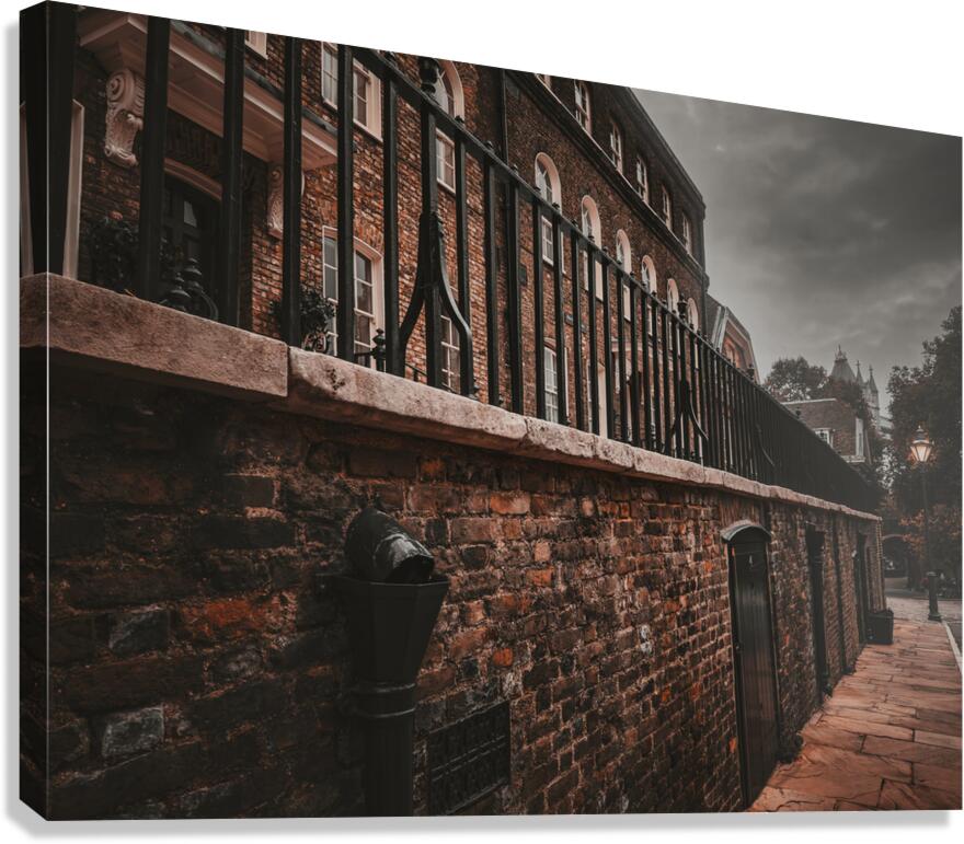 Cryptic Canvas Print