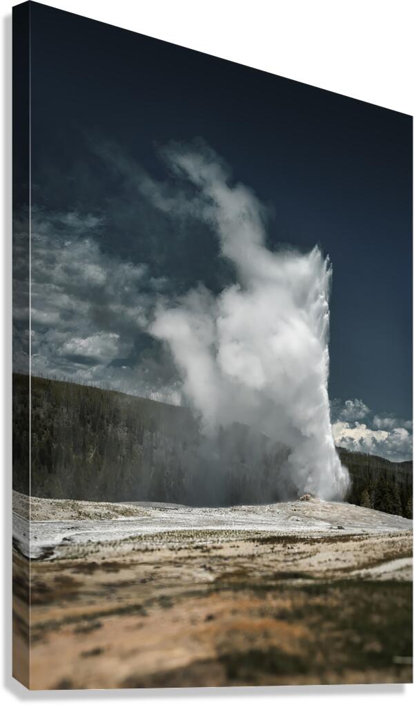 Dependable Canvas Print